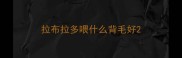 拉布拉多喂什么背毛好