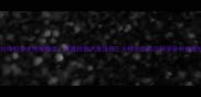 拉布拉多犬性格稳定家庭伴侣犬首选的三大核心优势与科学养护指南