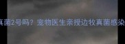 边牧可以打真菌2号吗宠物医生亲授边牧真菌感染护理全攻略
