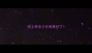 哈士奇多少价格算好了