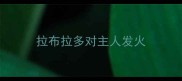 拉布拉多对主人发火