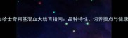阿拉斯加哈士奇柯基混血犬培育指南品种特性饲养要点与健康管理全