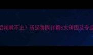 边牧洗澡后咳嗽不止资深兽医详解5大诱因及专业护理指南