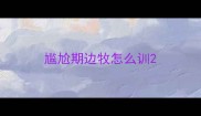 尴尬期边牧怎么训