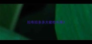 拉布拉多多大能吃水果
