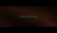 狗狗可以喝人奶吗