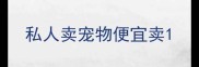 私人卖宠物便宜卖