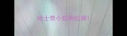 哈士奇小奶狗拉稀