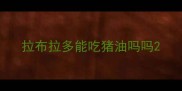 拉布拉多能吃猪油吗吗