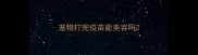 宠物打完疫苗能美容吗
