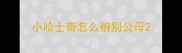 小哈士奇怎么辨别公母