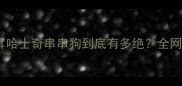 被全网追着问的垂耳哈士奇串串狗到底有多绝全网最全养护指南来了