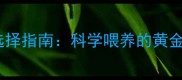 泰迪犬成犬粮选择指南科学喂养的黄金期与营养配比