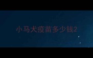小马犬疫苗多少钱