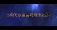 小狗可以疫苗吗用什么药