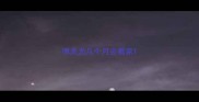 博美犬几个月会看家