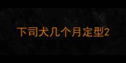 下司犬几个月定型