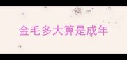 金毛多大算是成年