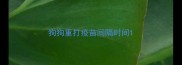 狗狗重打疫苗间隔时间