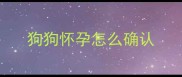 狗狗怀孕怎么确认