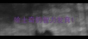 哈士奇的智力发育