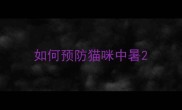 如何预防猫咪中暑