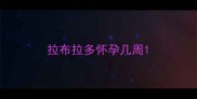拉布拉多怀孕几周