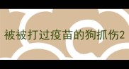 被被打过疫苗的狗抓伤