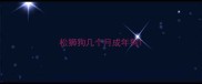 松狮狗几个月成年狗