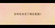 拉布拉多洗了澡还是臭