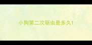 小狗第二次驱虫是多久