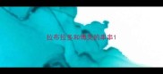 拉布拉多和博美的串串