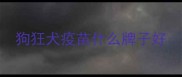 狗狂犬疫苗什么牌子好