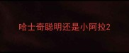 哈士奇聪明还是小阿拉