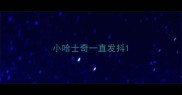 小哈士奇一直发抖