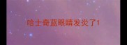 哈士奇蓝眼睛发炎了