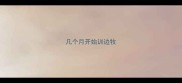 几个月开始训边牧