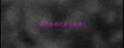 俩月泰迪吃多少狗粮
