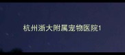 杭州浙大附属宠物医院