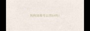 狗狗消毒可以用84吗