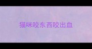 猫咪咬东西咬出血