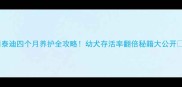 泰迪四个月养护全攻略幼犬存活率翻倍秘籍大公开