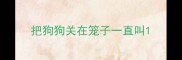 把狗狗关在笼子一直叫