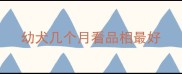 幼犬几个月看品相最好