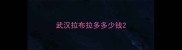 武汉拉布拉多多少钱