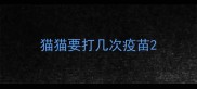 猫猫要打几次疫苗