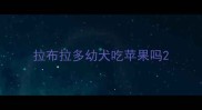 拉布拉多幼犬吃苹果吗