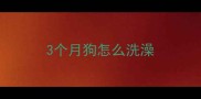 3个月狗怎么洗澡