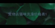 宠物店猫咪洗澡价格表