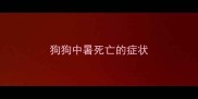 狗狗中暑死亡的症状